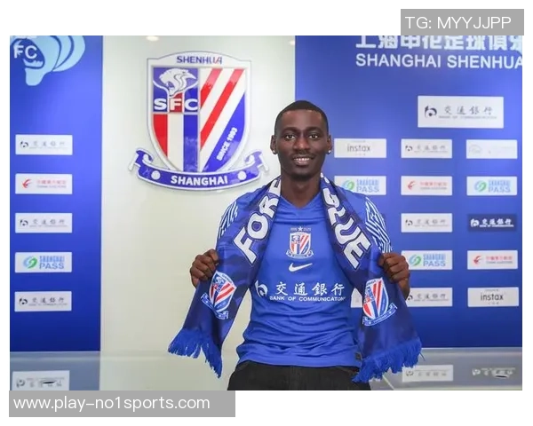 赤道几内亚足球队的崛起与挑战：非洲足球新势力的崭露头角