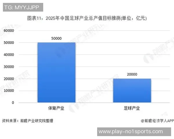 足球价格的图片大全及其市场分析与购买指南 足球价格的图片大全及其市场分析与购买指南